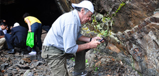 現(xiàn)場(chǎng)三維模擬展示